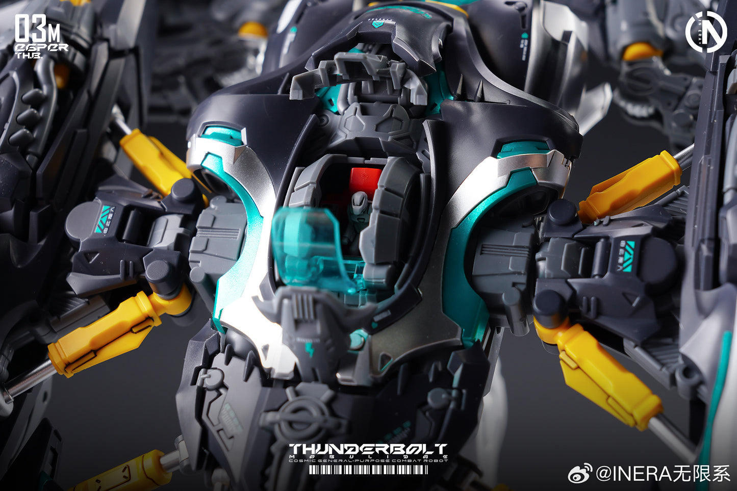 IN ERA+ RMD Thunderbolt Mobulidae DEVIL FISH REAL MINUTIA DESIGNS Model Kits