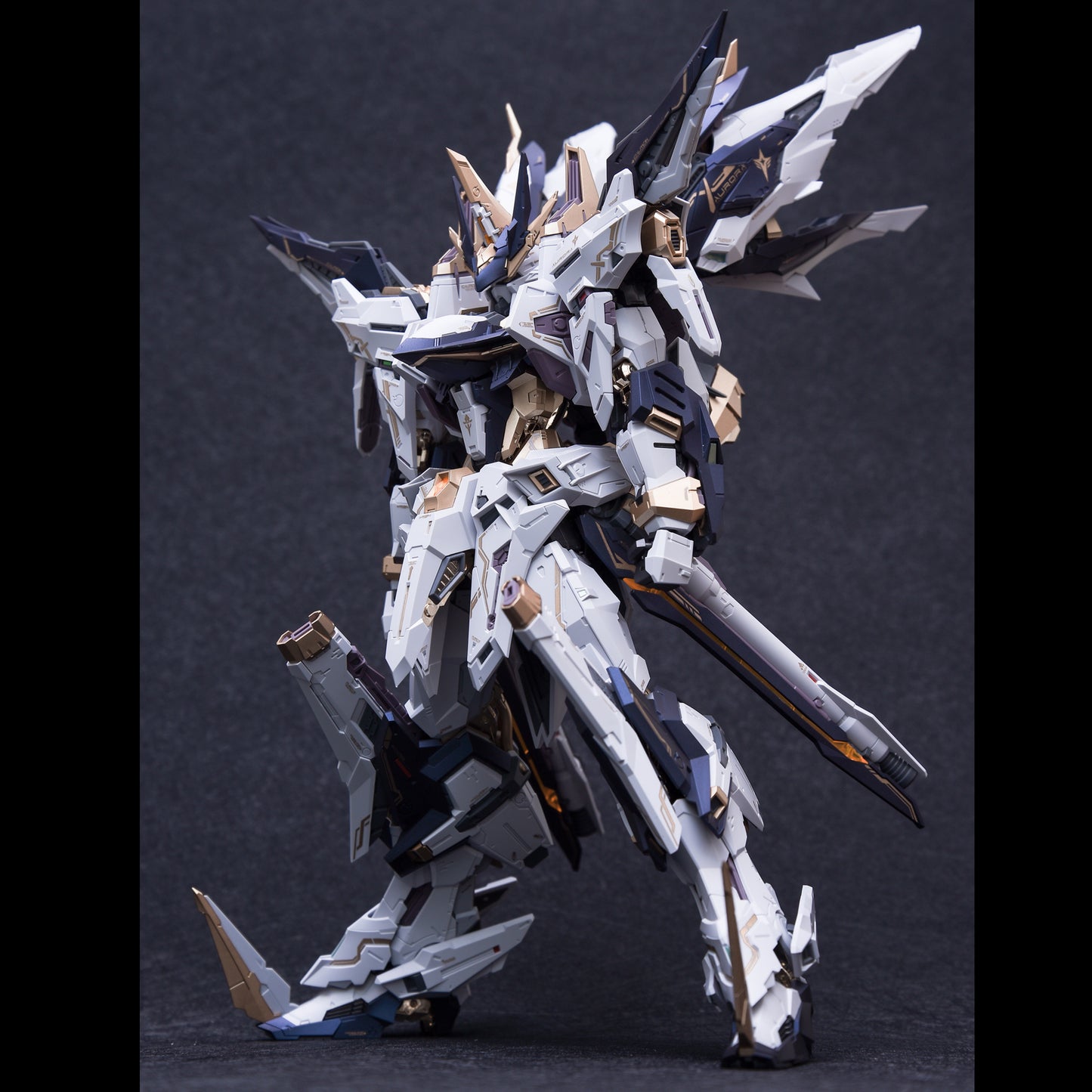 IN ERA+ PMD Aurora Perfaction Metal Design 1/100   Model Kits