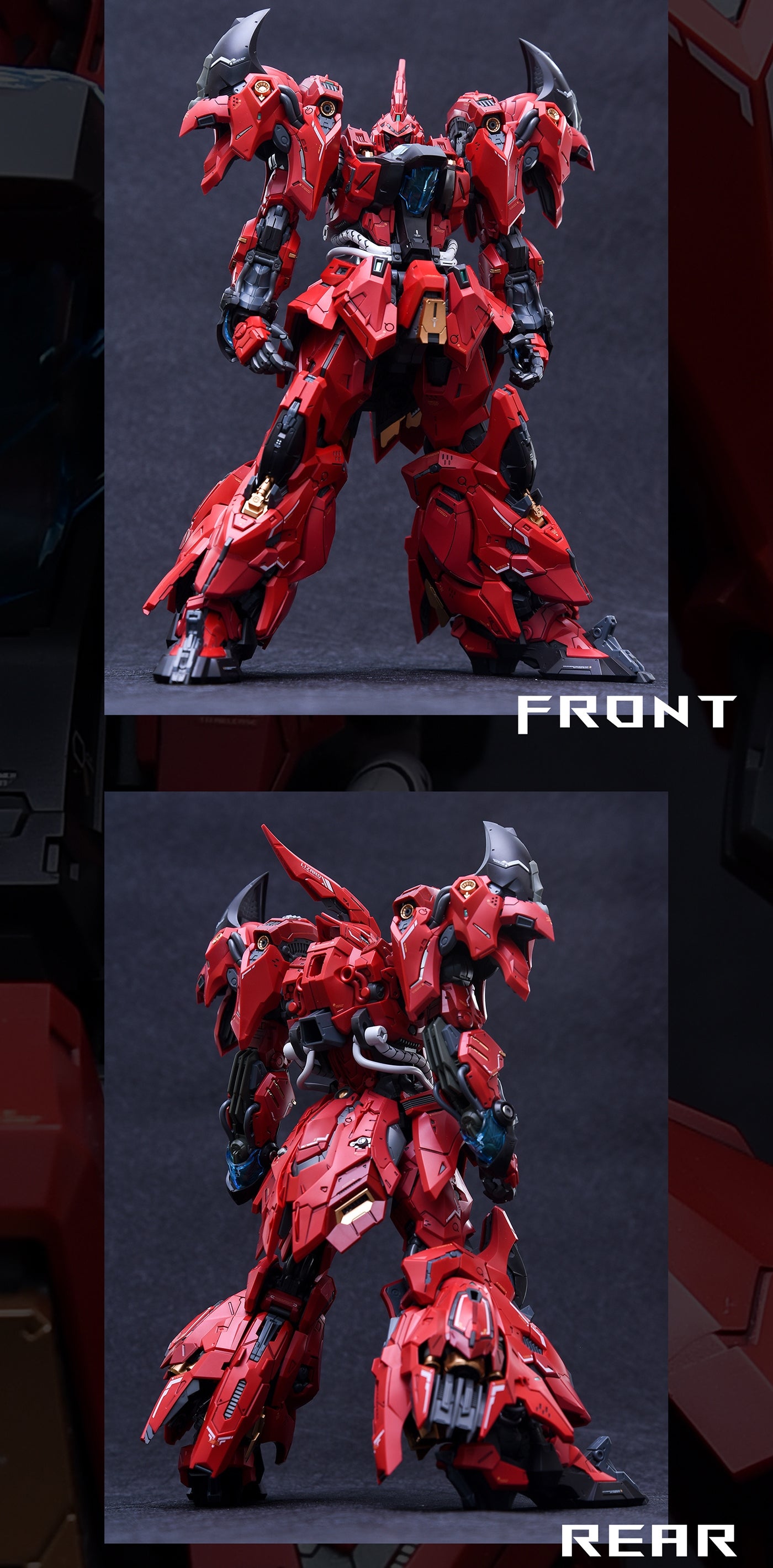 IN ERA+ RMD Lizard Standard Edition REAL MINUTIA DESIGNS Model Kits